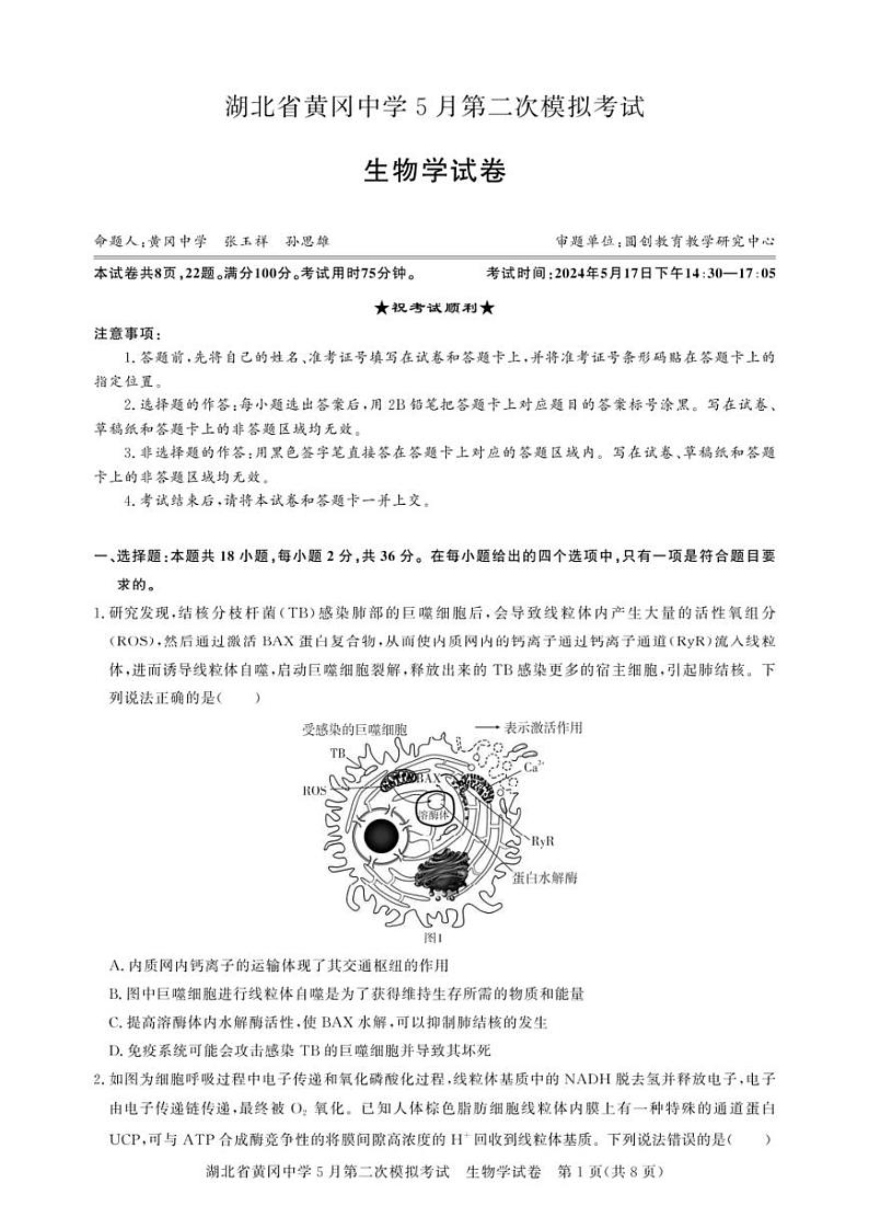 2024届湖北省黄冈中学高三下学期5月第二次模拟考试生物试卷及答案 (1)01