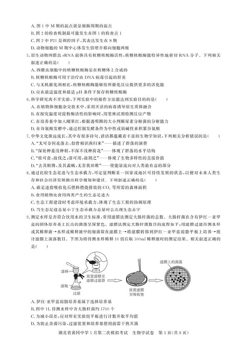 2024届湖北省黄冈中学高三下学期5月第二次模拟考试生物试卷及答案 (1)03