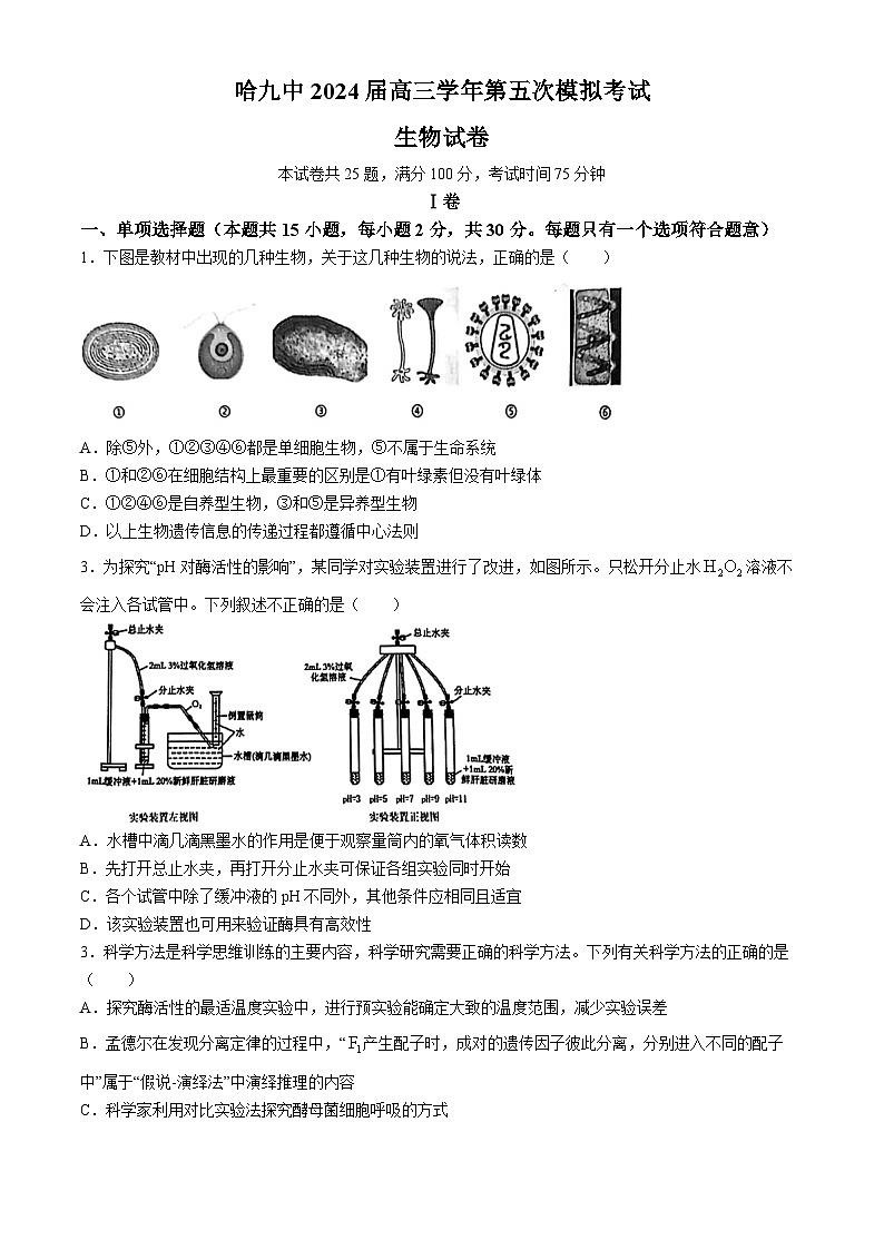 2024届黑龙江省哈尔滨市松北区哈尔滨市第九中学校高三模拟预测生物试题(无答案)01