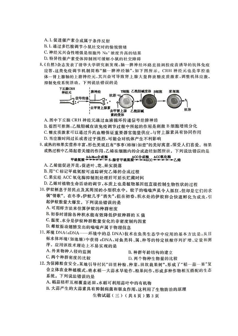 2024届山东省聊城市高三三模生物试题第3页