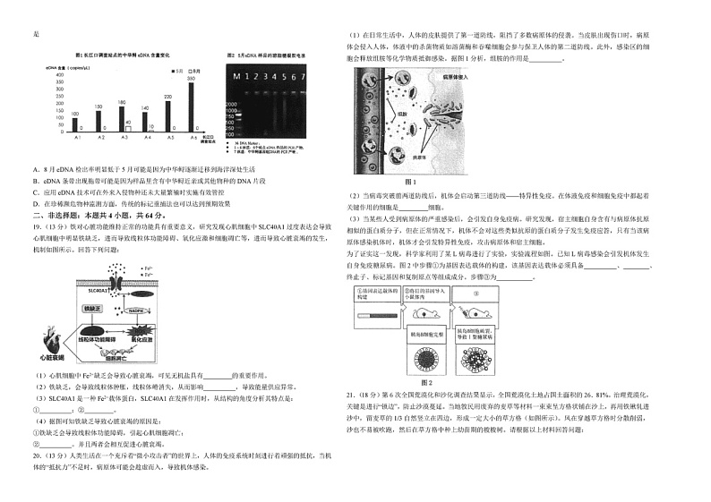 湖北省武汉市华中师范大学第一附属中学2023—2024高三下学期5月考试生物试题第3页