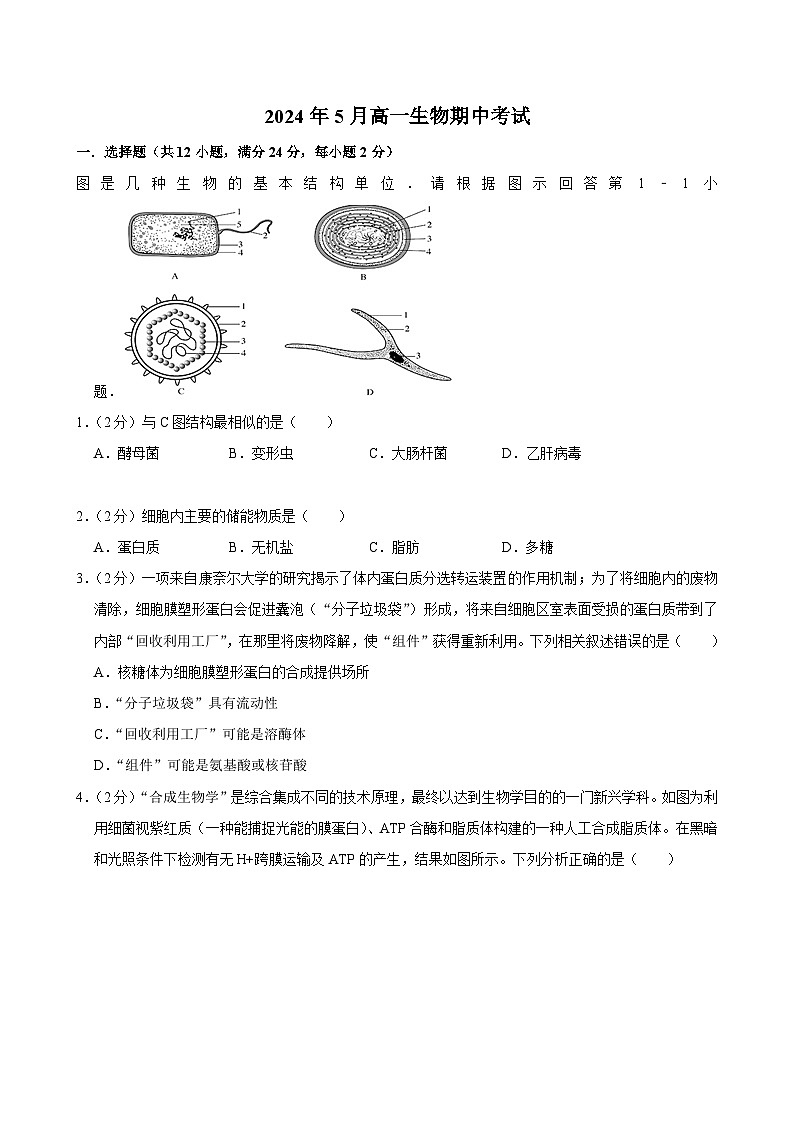 湖南省岳阳市湘阴县第一中学2023-2024学年高二下学期5月期中生物试题第1页