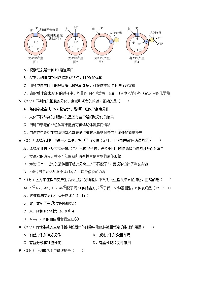 湖南省岳阳市湘阴县第一中学2023-2024学年高二下学期5月期中生物试题第2页