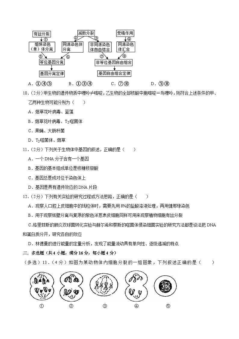 湖南省岳阳市湘阴县第一中学2023-2024学年高二下学期5月期中生物试题第3页