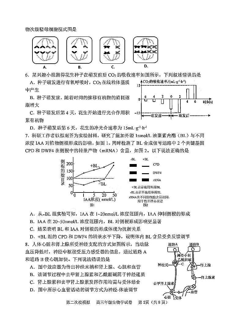 天津市和平区耀华中学2023-2024学年高三下学期第二次模拟生物试题02