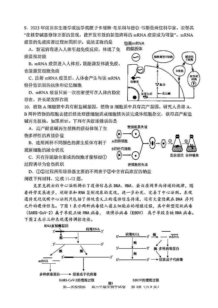 天津市和平区耀华中学2023-2024学年高三下学期第二次模拟生物试题03