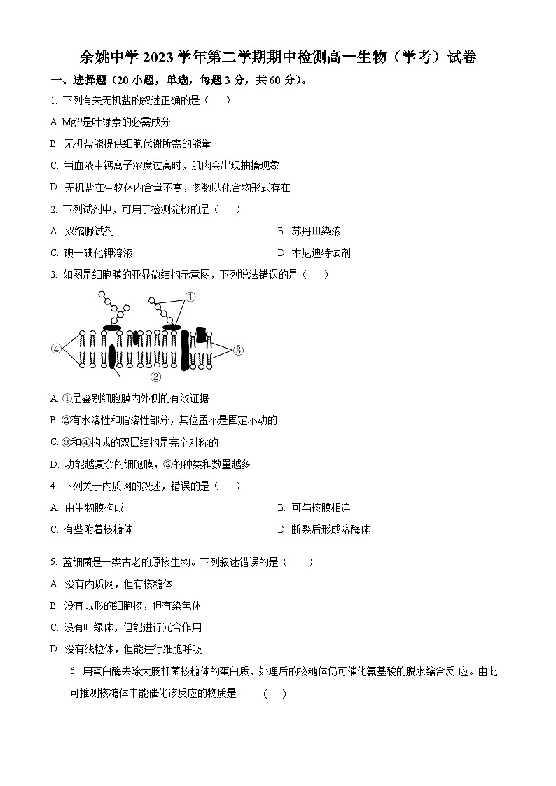 浙江省宁波市余姚中学2023-2024学年高一下学期期中考试生物试题（原卷版）第1页