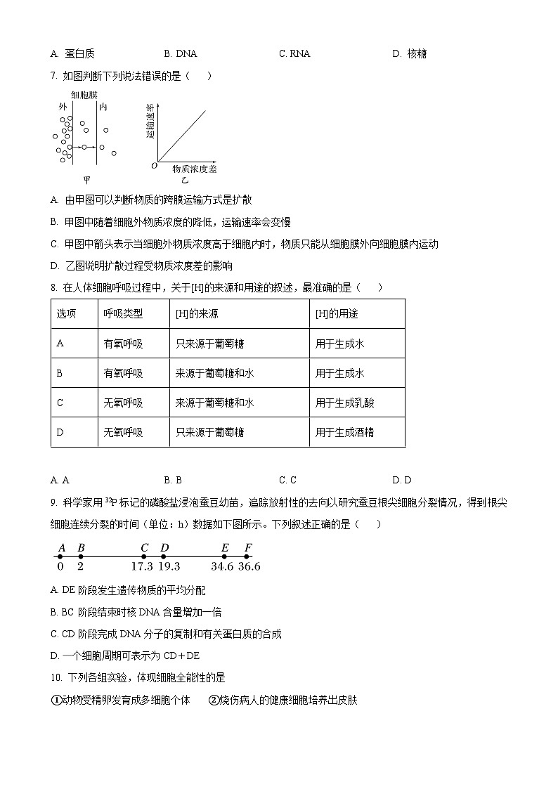 浙江省宁波市余姚中学2023-2024学年高一下学期期中考试生物试题（原卷版）第2页