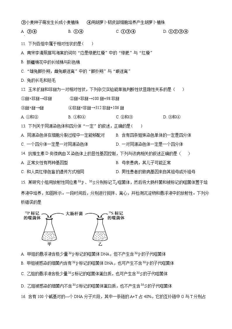 浙江省宁波市余姚中学2023-2024学年高一下学期期中考试生物试题（原卷版）第3页