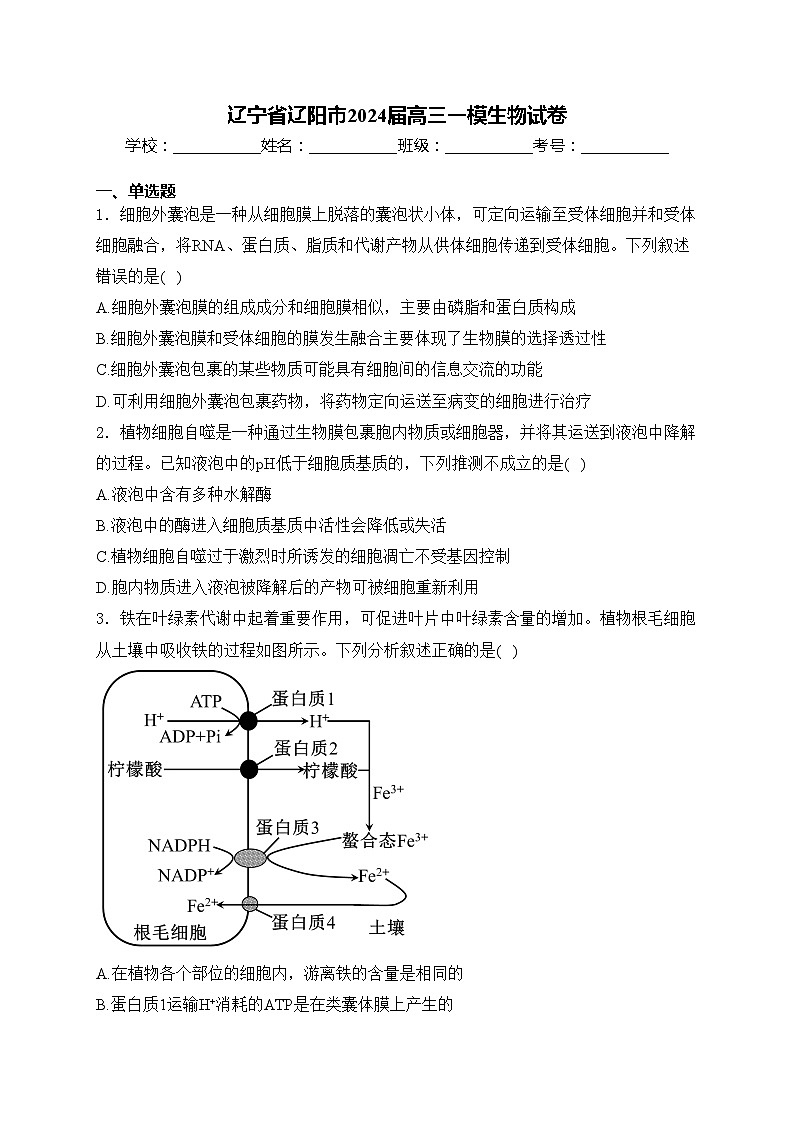 辽宁省辽阳市2024届高三一模生物试卷(含答案)01