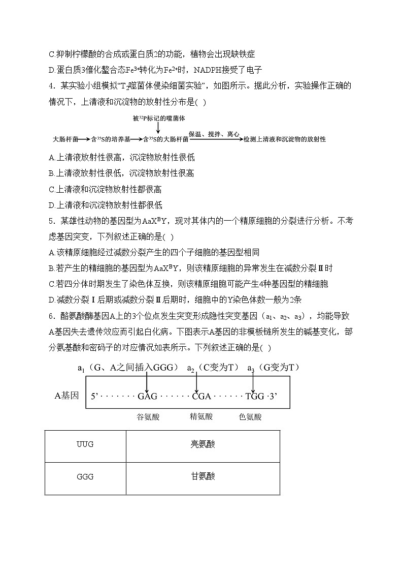 辽宁省辽阳市2024届高三一模生物试卷(含答案)02