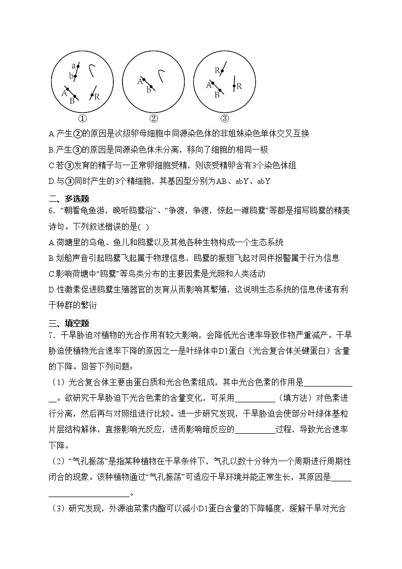 宁夏回族自治区石嘴山市平罗中学2024届高三下学期三模生物试卷(含答案)02