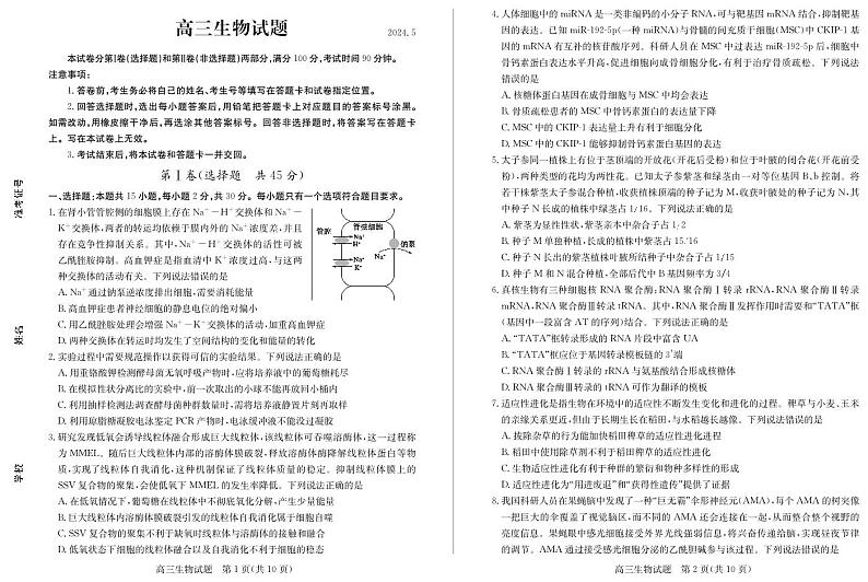 2024德州高三下学期三模试题生物PDF版含答案第1页