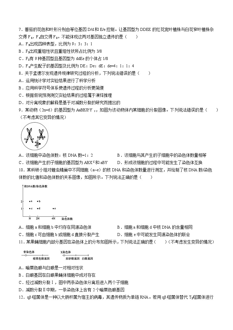 2024德州高一下学期期中考试生物含答案02