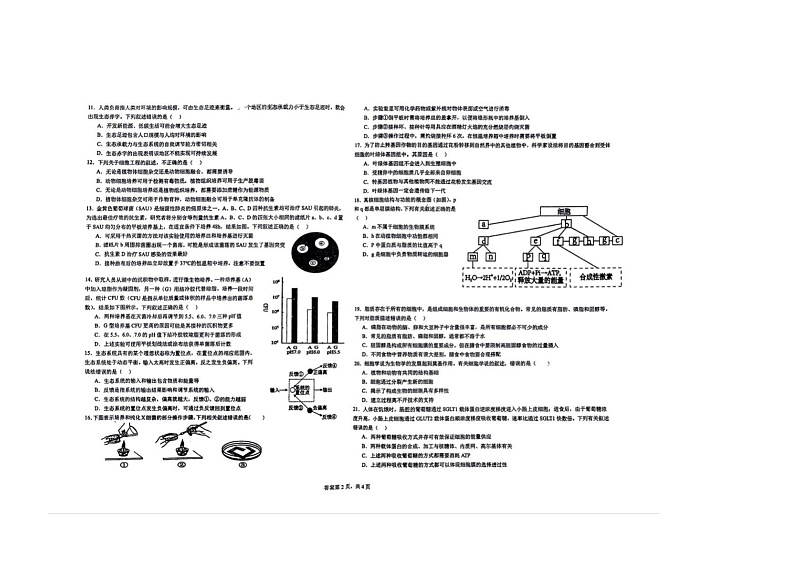 四川省广安市华蓥市华蓥中学2023-2024学年高二下学期5月月考生物试题02