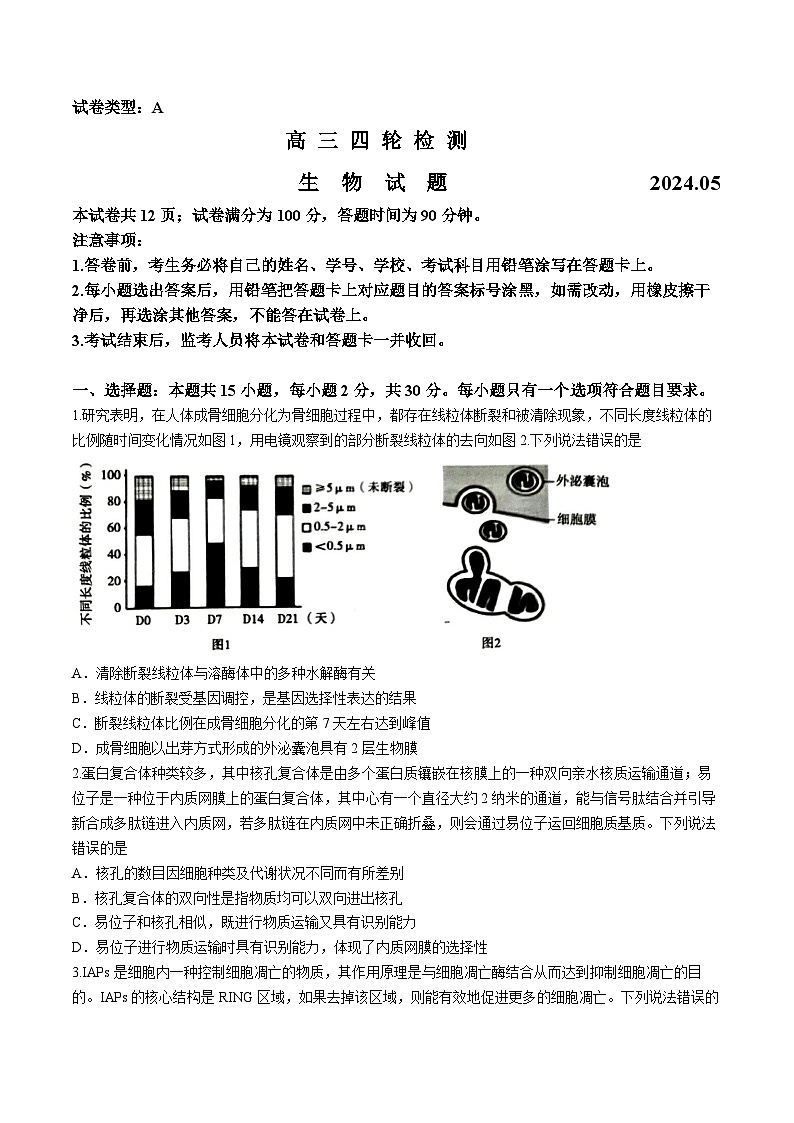 山东省泰安市2024届高三下学期5月四模考试生物Word版含答案01