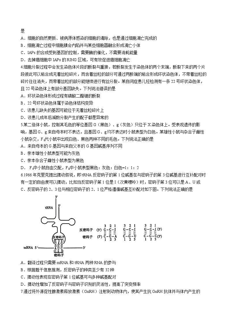 山东省泰安市2024届高三下学期5月四模考试生物Word版含答案02