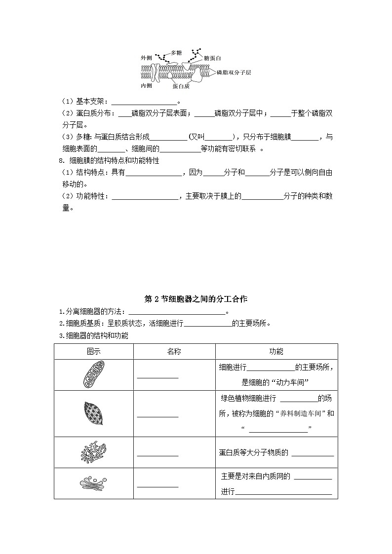 必修一第三章细胞的基本结构必备知识点学案02