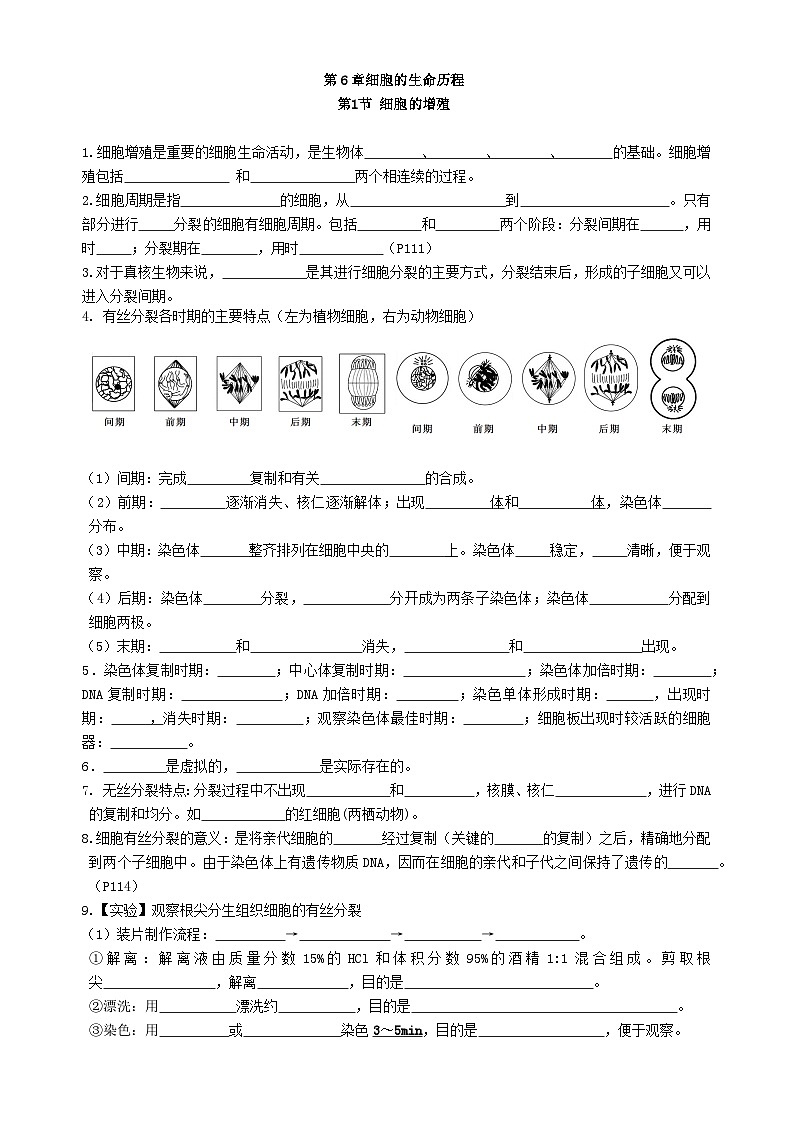 必修一第六章细胞的生命历程必备知识点01