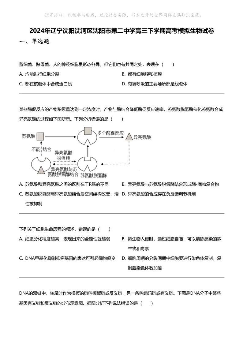 2024年辽宁沈阳沈河区沈阳市第二中学高三下学期高考模拟生物试卷第1页