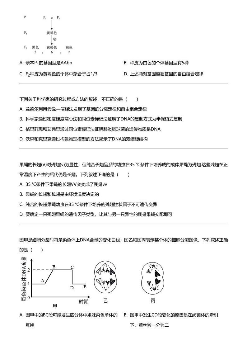 2023_2024学年5月河南漯河源汇区漯河市高级中学高一下学期月考生物试卷02