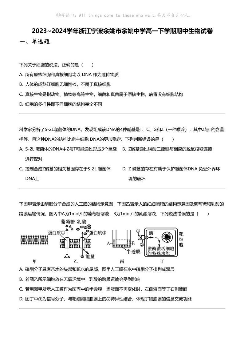 2023_2024学年浙江宁波余姚市余姚中学高一下学期期中生物试卷01