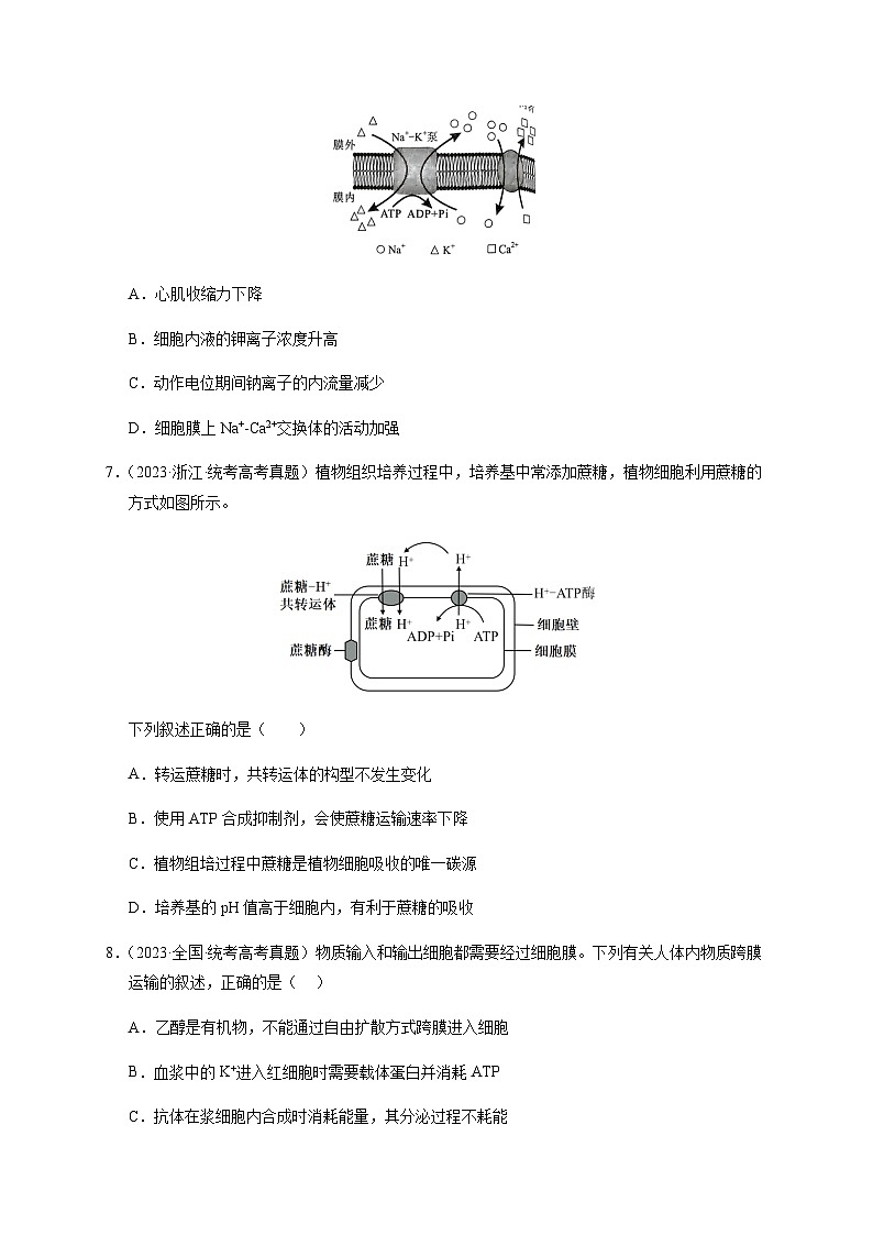 （全国通用）2013-2023年高考生物分项汇编专题02物质进出细胞、酶和ATP（学生版+教师版）03