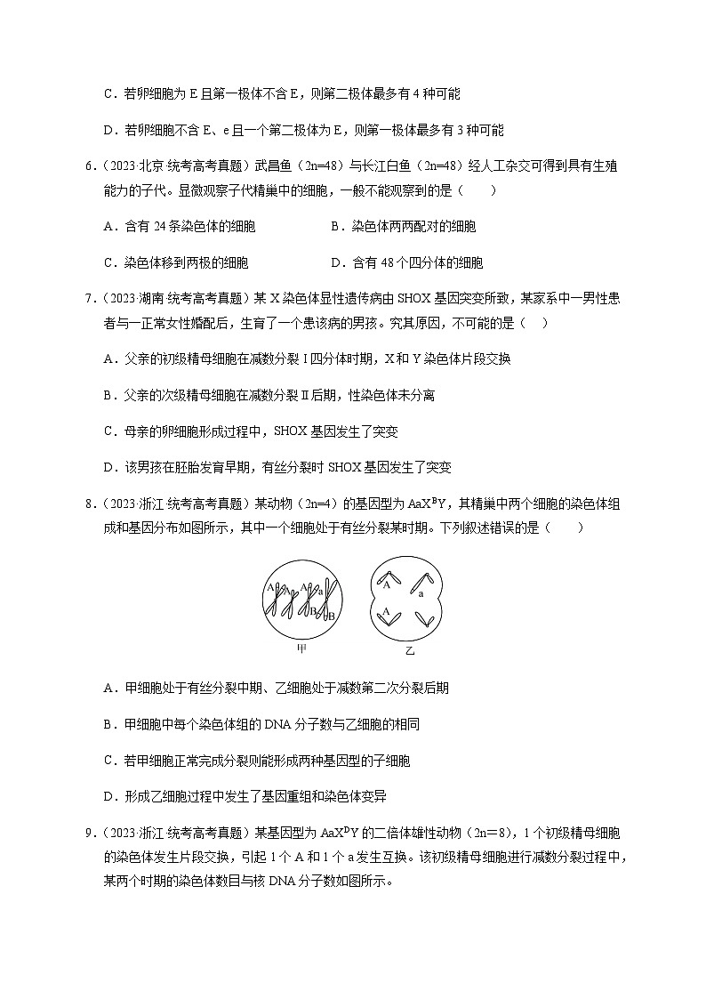 （全国通用）2013-2023年高考生物真题分项汇编专题04有丝分裂和减数分裂（学生版+教师版）03