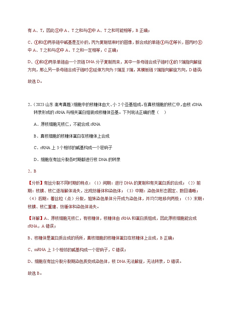 （全国通用）2013-2023年高考生物真题分项汇编专题06遗传的分子基础（学生版+教师版）02
