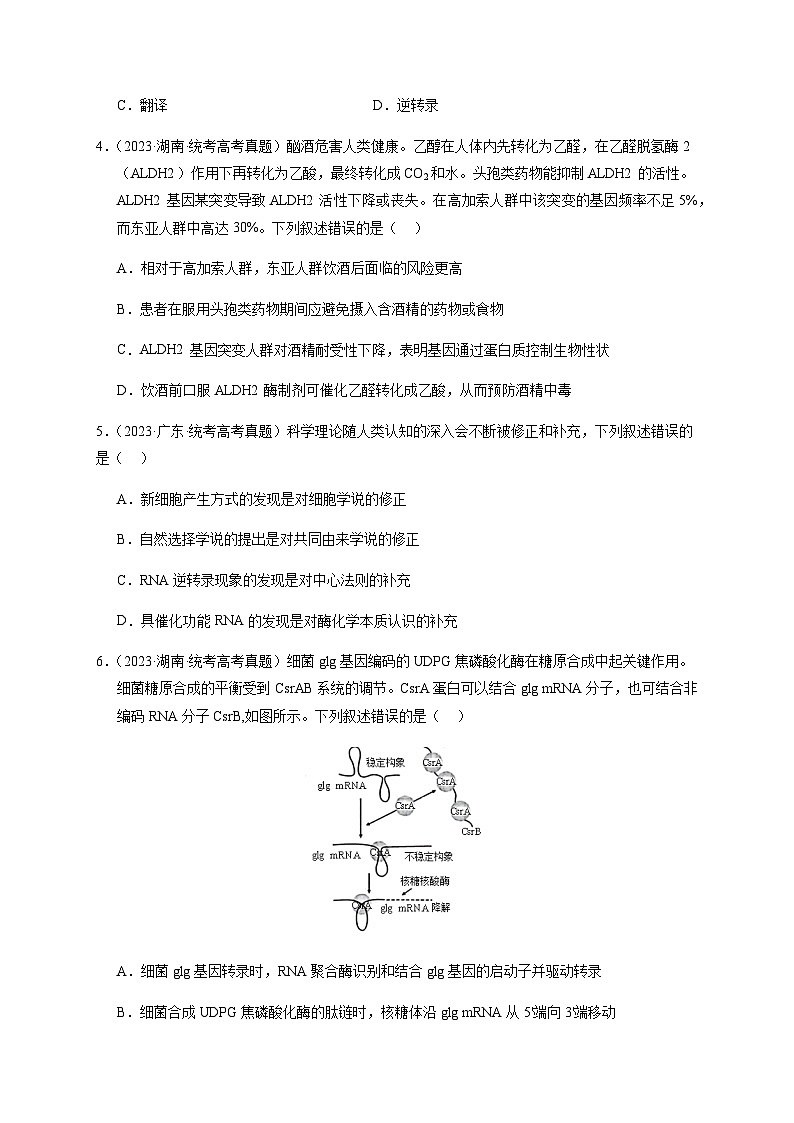 （全国通用）2013-2023年高考生物真题分项汇编专题06遗传的分子基础（学生版+教师版）02