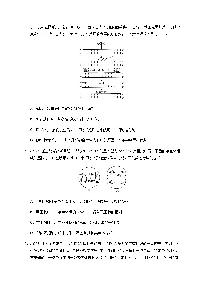 （全国通用）2013-2023年高考生物真题分项汇编专题09变异、育种与进化（学生版+教师版）03