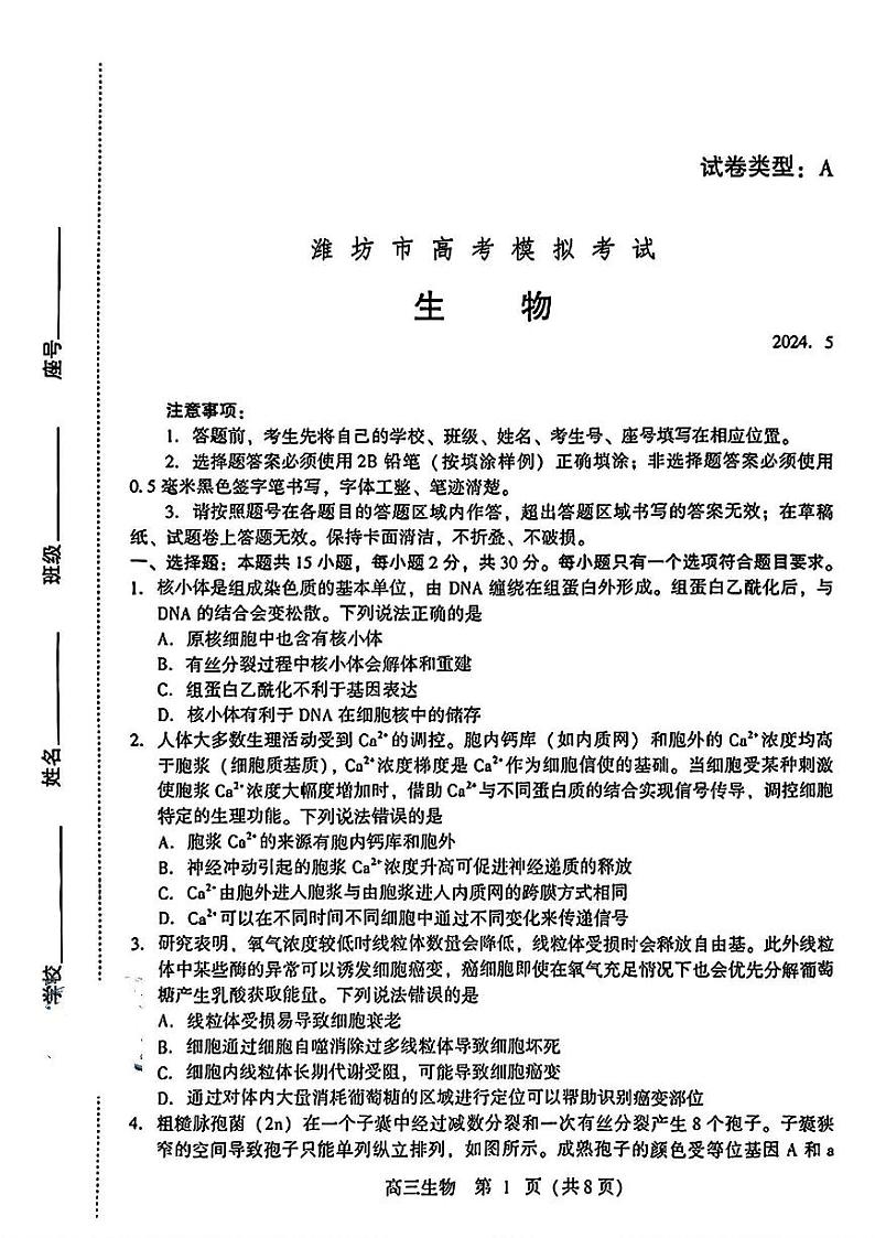山东省潍坊市2024届高三高考模拟考试(潍坊三模)生物试卷及答案01