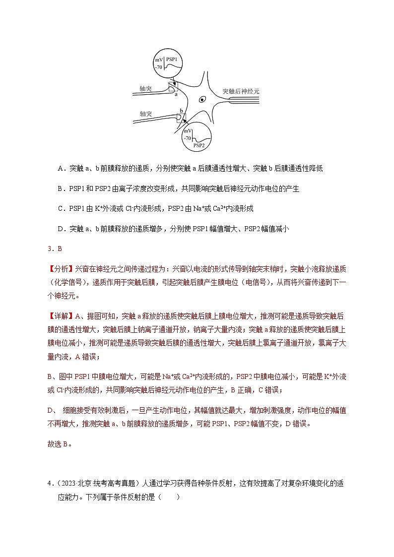（全国通用）2013-2023年高考生物真题分项汇编专题12神经调节（解析版）第3页