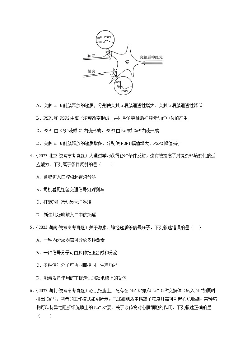 （全国通用）2013-2023年高考生物真题分项汇编专题12神经调节（学生版）第2页