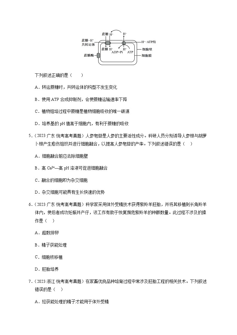 （全国通用）2013-2023年高考生物真题分项汇编专题19细胞工程与胚胎工程（学生版+教师版）02
