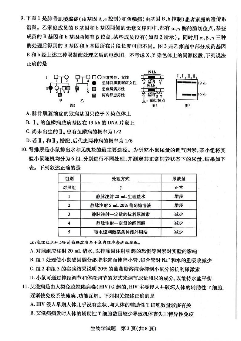 2024届安徽省合肥六中高三最后一卷生物试卷03