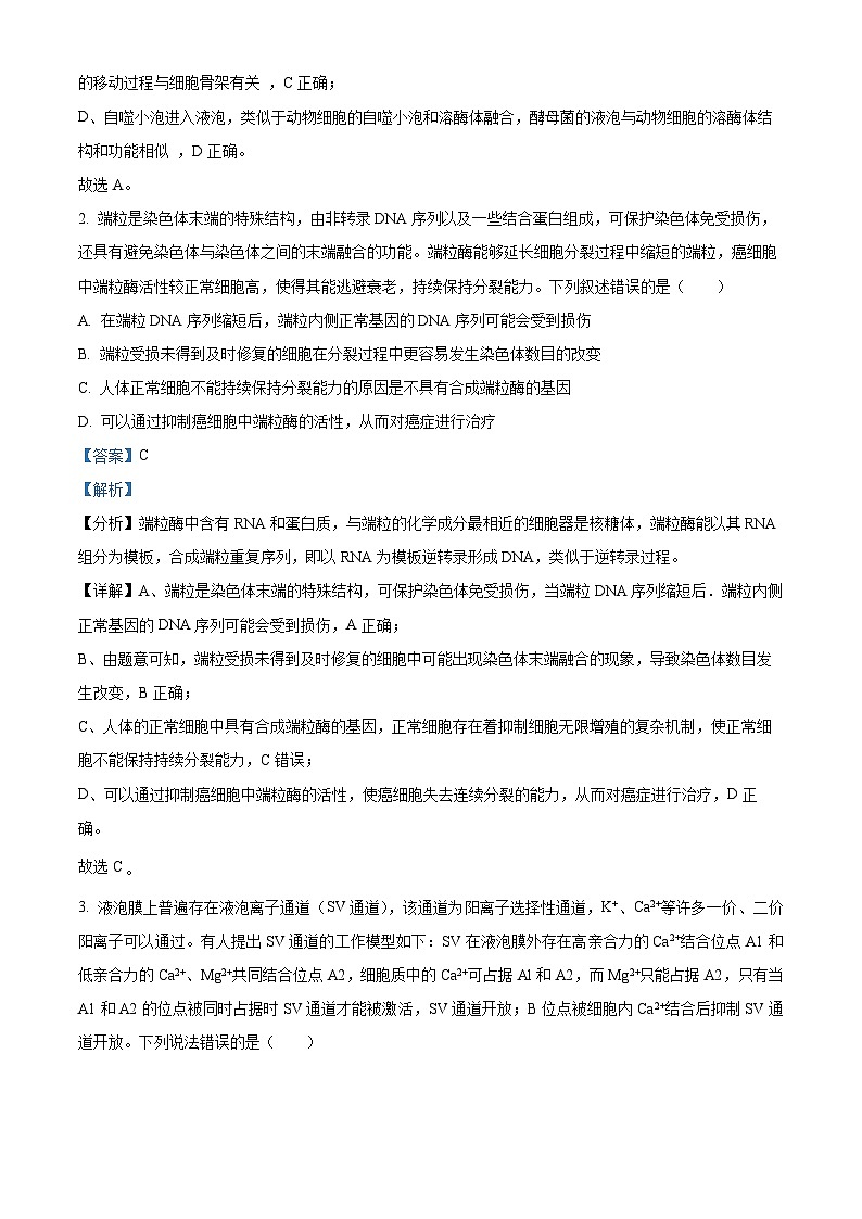 山东省泰安市肥城市第一高级中学2023-2024学年高三下学期适应性考试生物试题（三）　（解析版）第2页