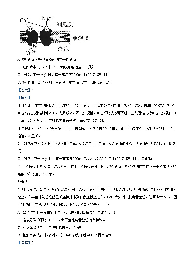 山东省泰安市肥城市第一高级中学2023-2024学年高三下学期适应性考试生物试题（三）　（解析版）第3页