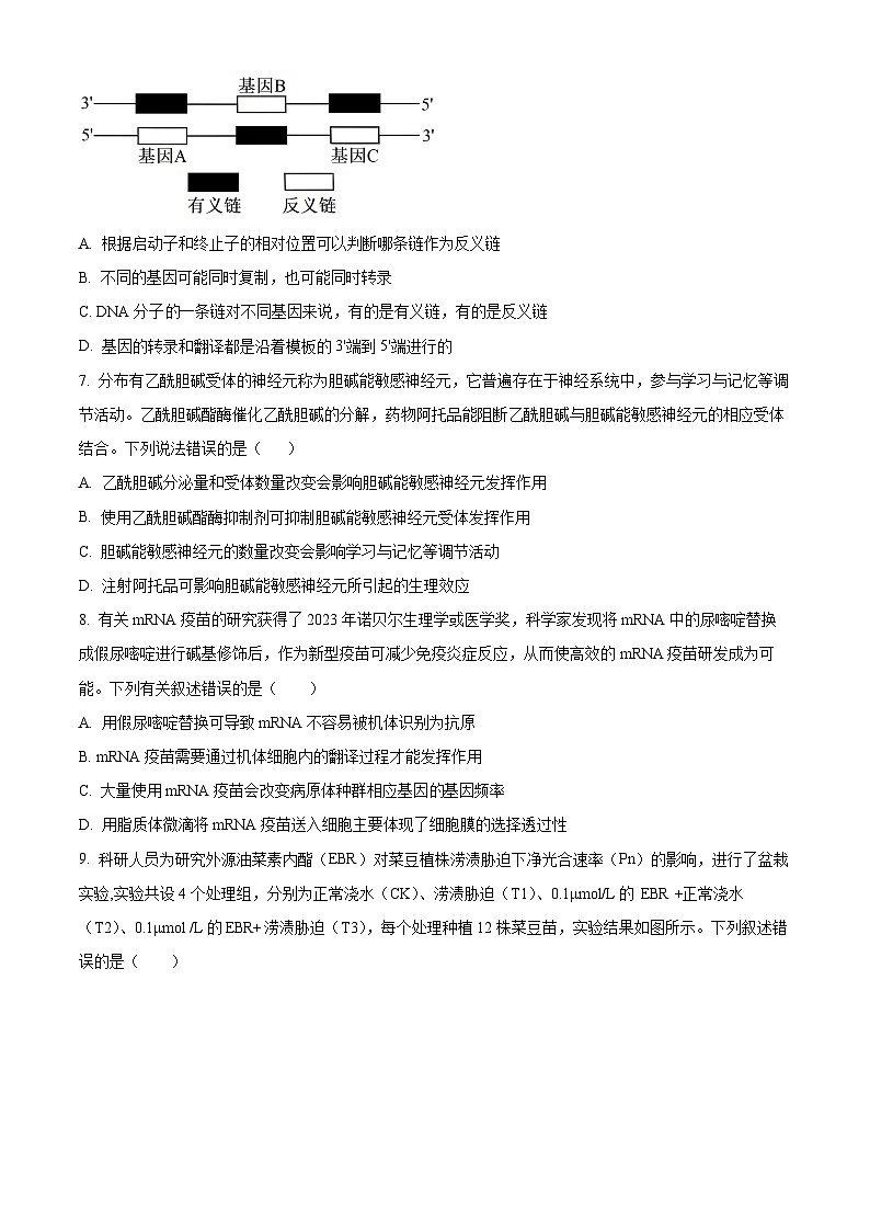 山东省泰安市肥城市第一高级中学2023-2024学年高三下学期适应性考试生物试题（三）　（原卷版）第3页