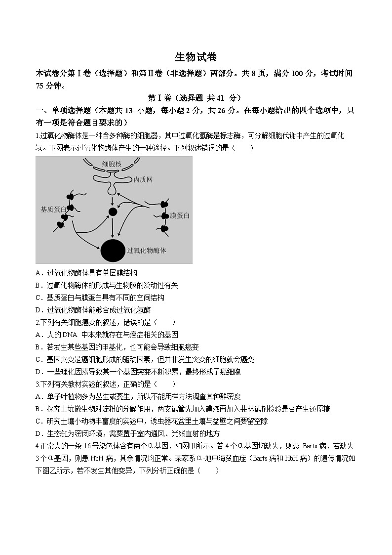 河北省雄安新区部分高中2024届高三下学期三模考试生物试卷（Word版附答案）第1页