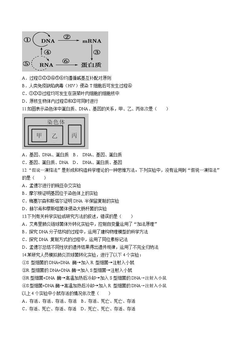 广西壮族自治区“贵百河”2023-2024学年高一下学期5月月考生物试卷（Word版附答案）03