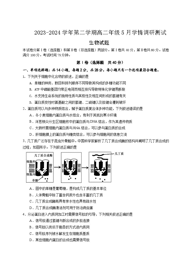 江苏省扬州市高邮市2023-2024学年高二下学期5月月考生物试卷（Word版附答案）01