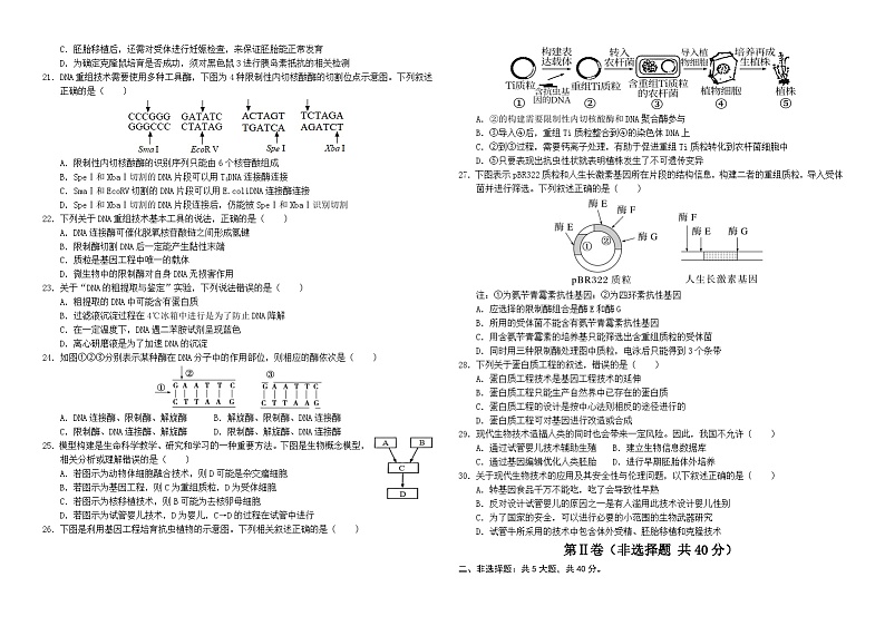 云南省开远市第一中学2023-2024学年高二下学期期中考试生物试题（Word版附解析）03