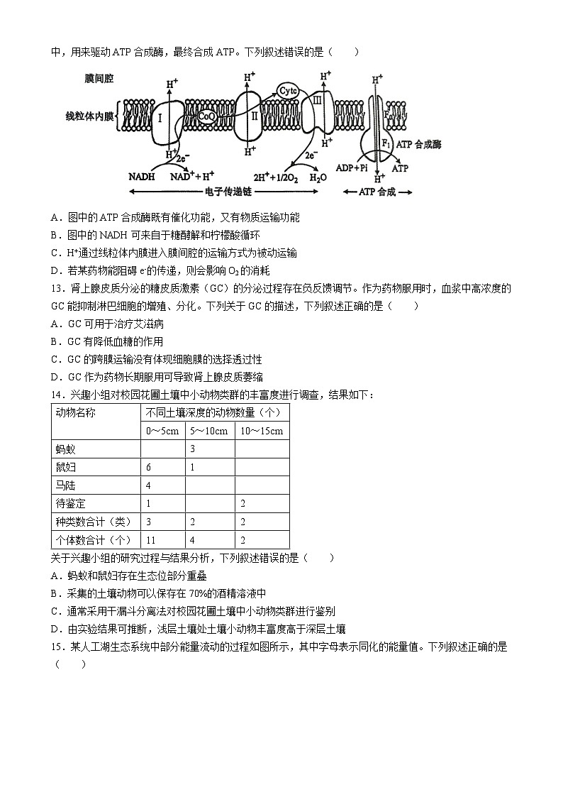 浙江省北斗星盟2023-2024学年高二下学期5月期中联考生物试题（Word版附答案）03