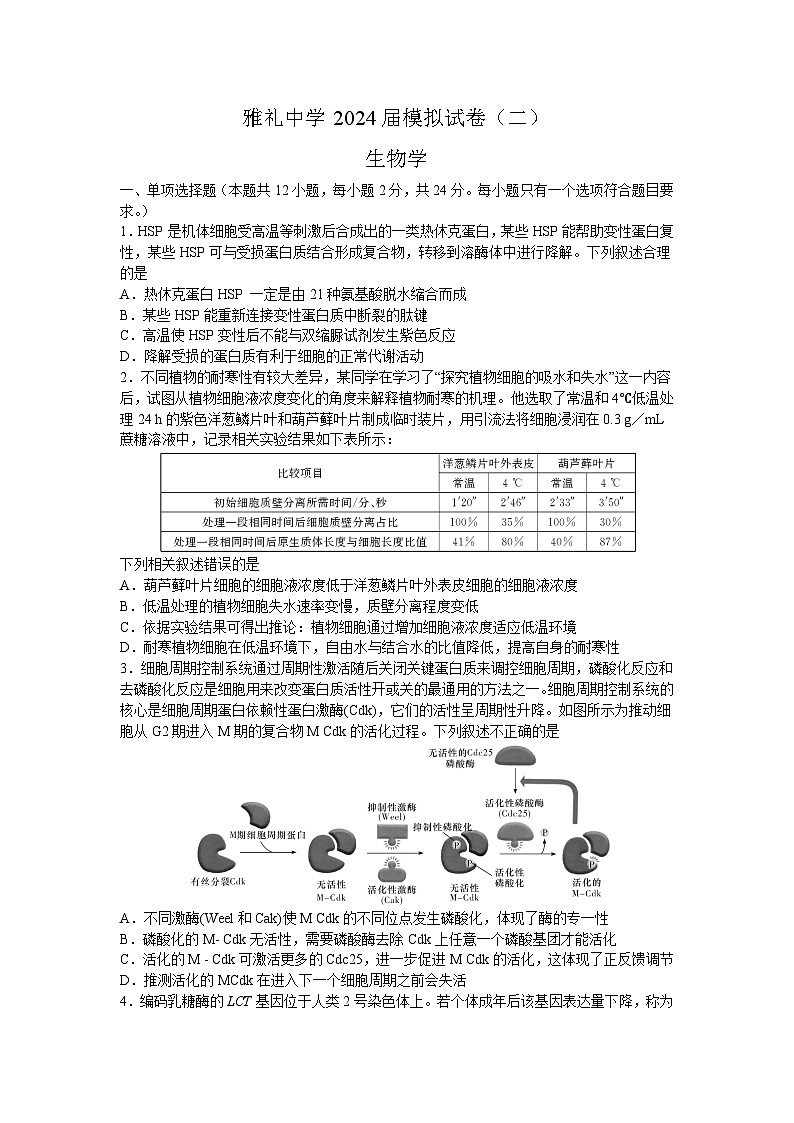 湖南省雅礼中学2024届高三下学期模拟（二）生物试题（Word版附答案）01