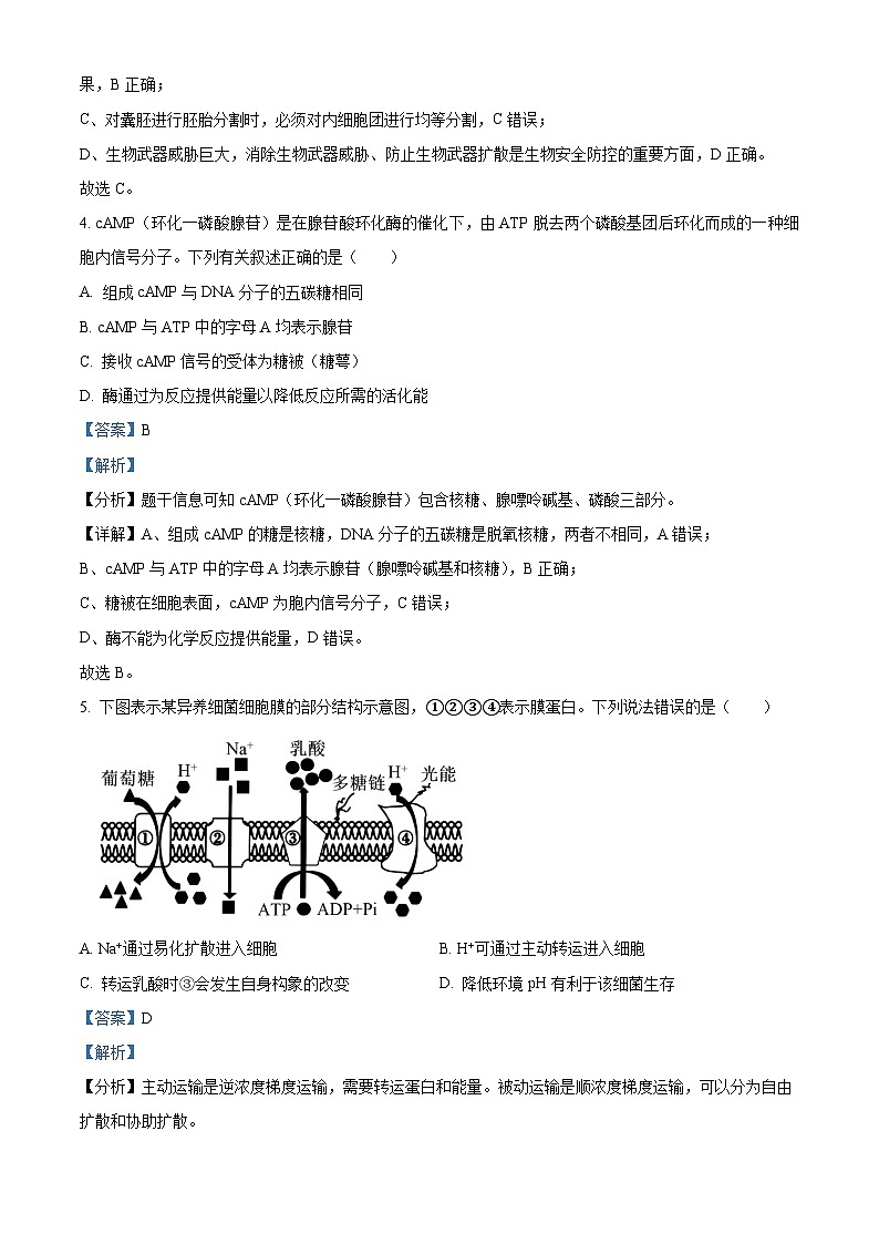 浙江省宁波市镇海中学2024届高三下学期三模生物试题（Word版附解析）03