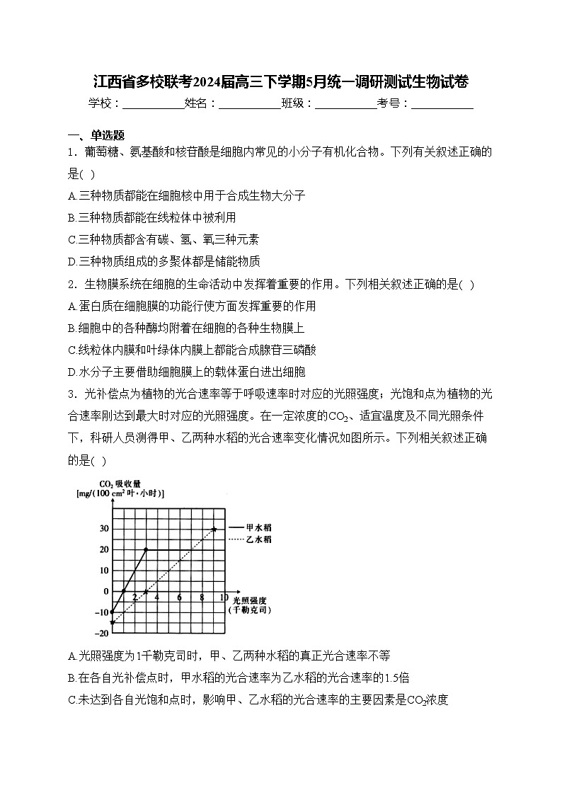 江西省多校联考2024届高三下学期5月统一调研测试生物试卷(含答案)01