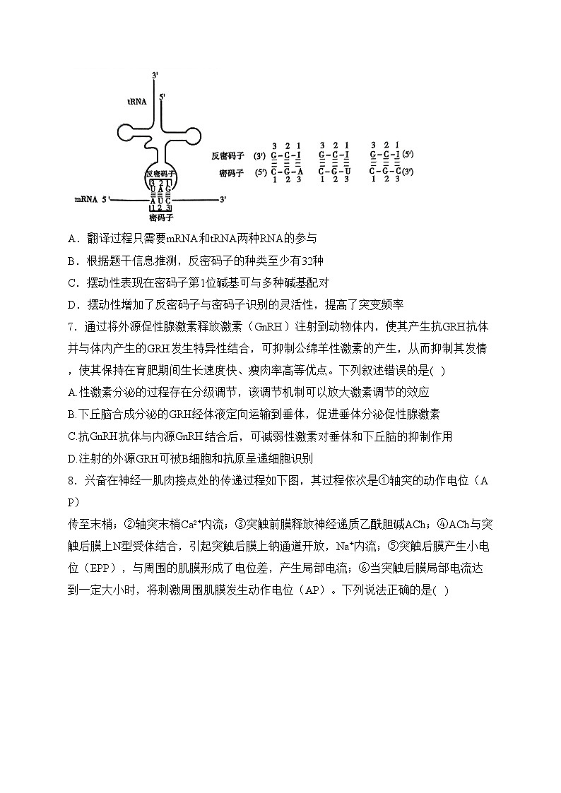 山东省泰安市2024届高三下学期5月四轮检测（四模）生物试卷(含答案)03