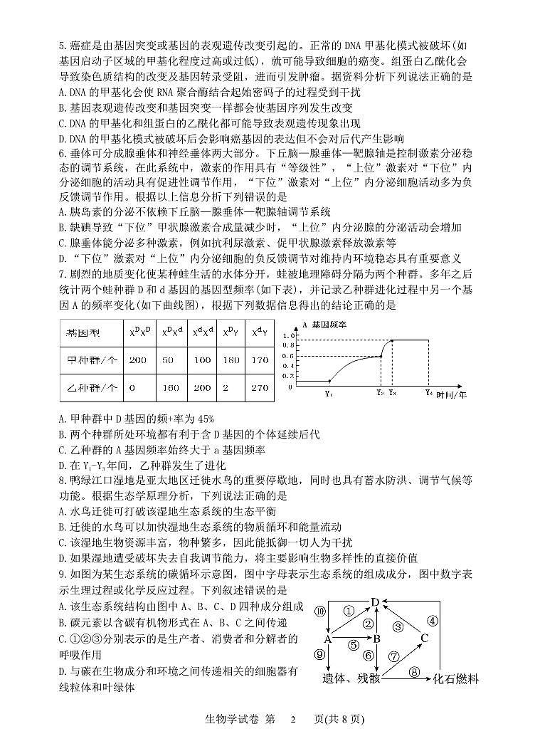 2024丹东高三下学期总复习质量测试（二）生物PDF版含答案第2页
