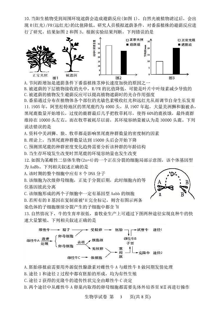 2024丹东高三下学期总复习质量测试（二）生物PDF版含答案第3页